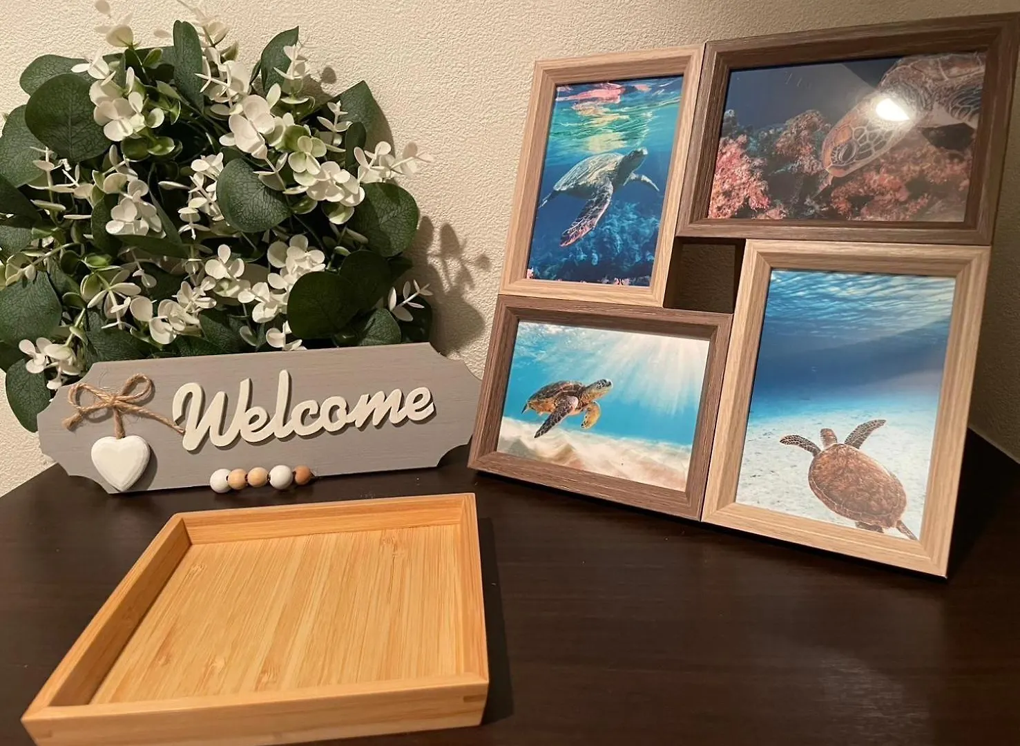 Appartement 亀さんがいるゲンちゃん 大阪道頓堀